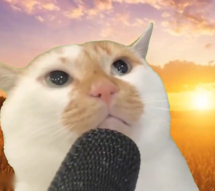 PODCAT with a sunset behind it